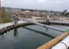 ATENDIÓ COMAPA LIMPIEZA DE CLARIFICADORES DE LA PLANTA RANCHO GRANDE